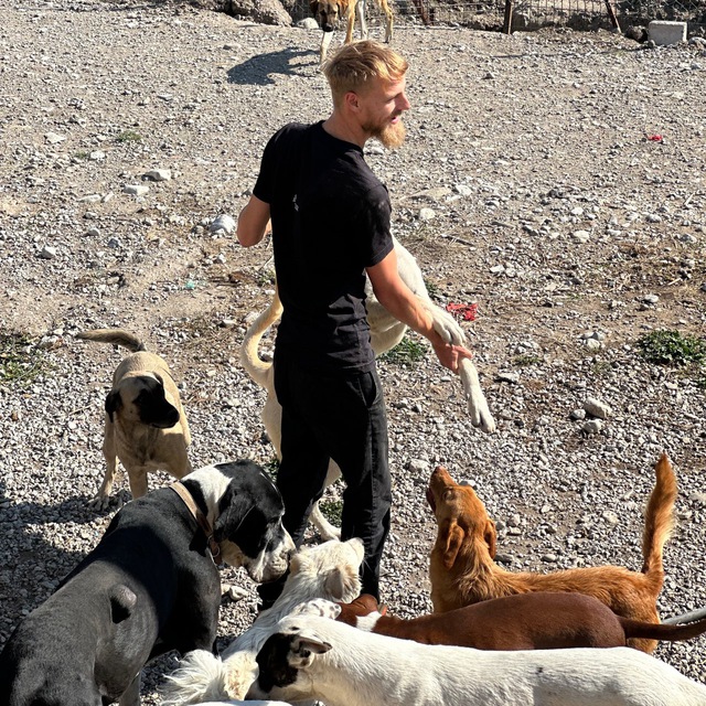 Kai at the animal shelter